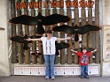 FWZoo_WingspanFamily (3)